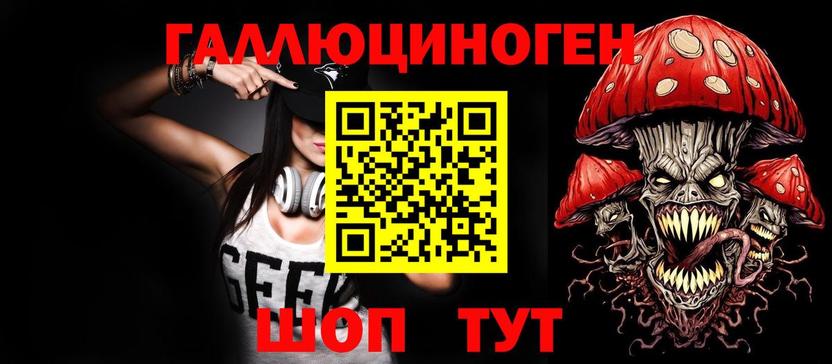 Псилоцибиновые грибы Psilocybine cubensis Губкинский
