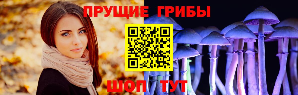 Губкинский  Галлюциногенные грибы Psilocybine cubensis  Вход с VPN 